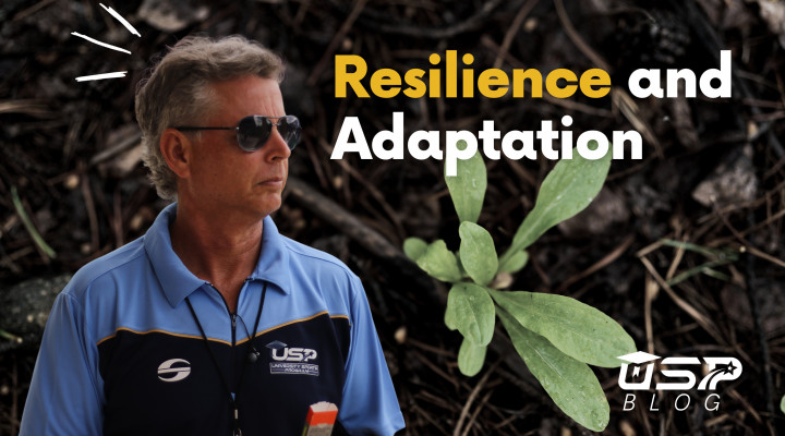 Resilience and Adaptation